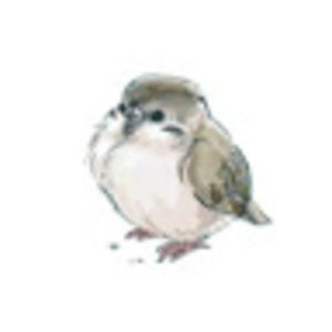 Meet your Posher, Annie